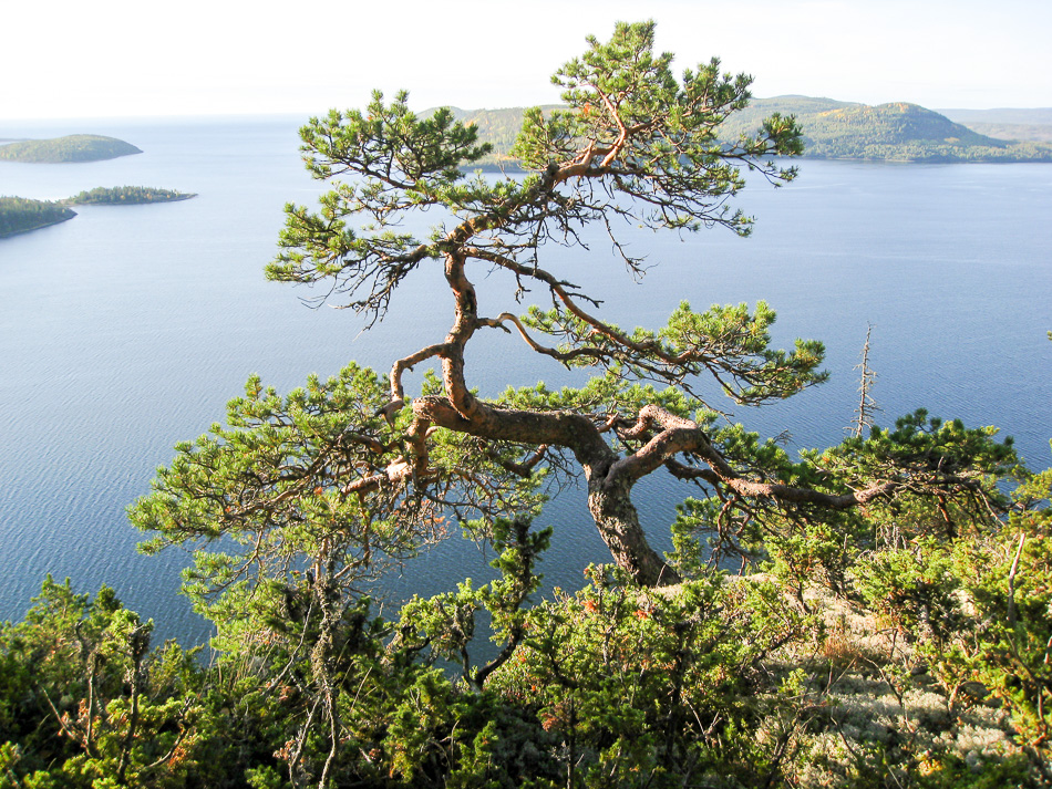 IMG 2417 Foto Agne Säterberg Export W950