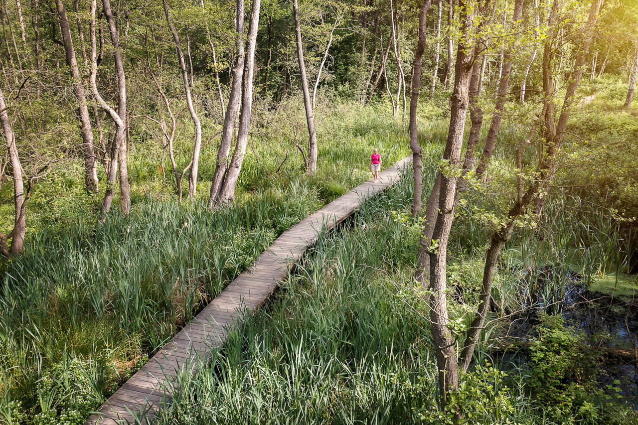 Naamsvermelding © De Wijers Xxxx(Naam Fotograaf). De Naam Van De Fotograaf Zit In De Bestandsnaam Of De Metagegevens DW De Maten Knuppelpad Robin Reynders Provincie Limburg.2 © De Wijers Robin Reynders