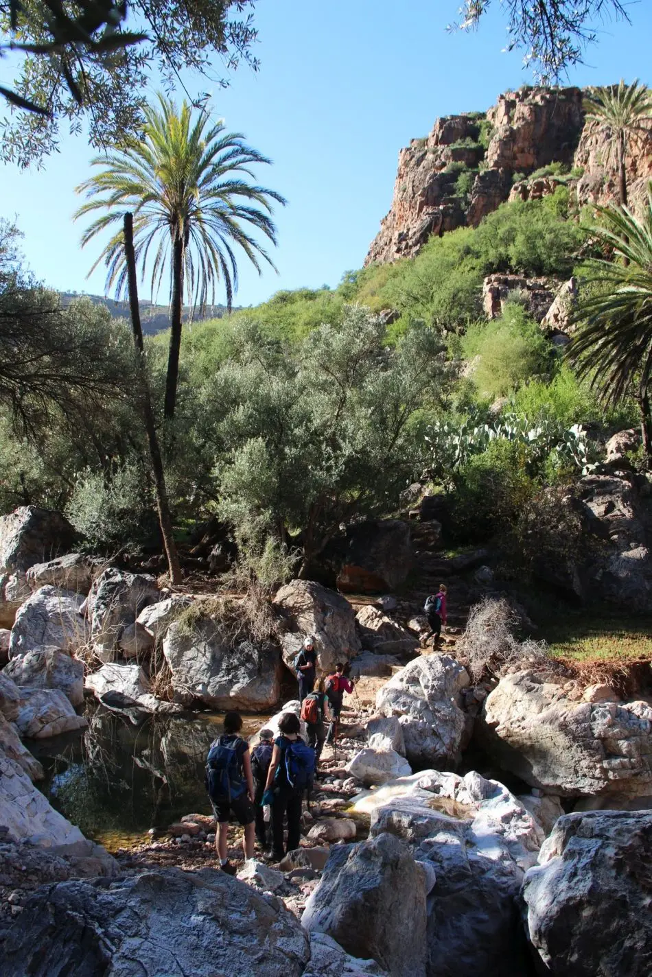Tafraoute-56_export